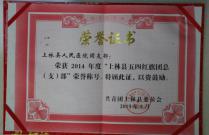 荣获2014年度“上林县五四红旗团总(支)部”